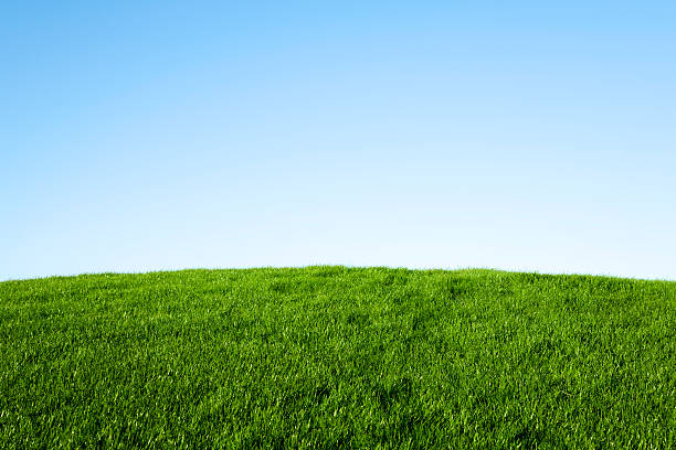 erba verde e blu cielo - hill foto e immagini stock