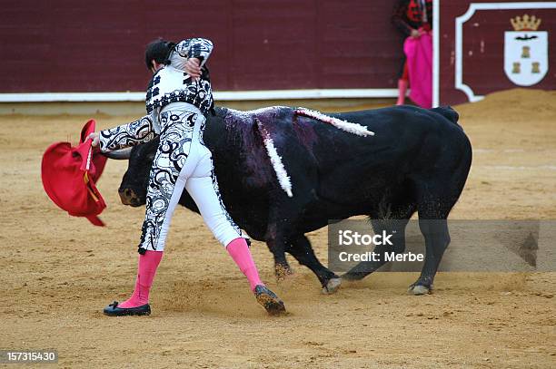 Stierkampfarena In Spanien Stockfoto und mehr Bilder von Stierkampf - Stierkampf, Aktivitäten und Sport, Banderilla
