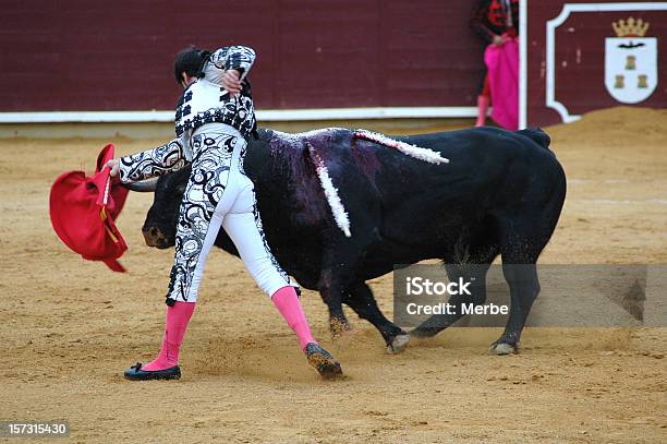 Bullfighting W Hiszpanii - zdjęcia stockowe i więcej obrazów Walka byków - Walka byków, Arena do walki z bykami, Banderilla