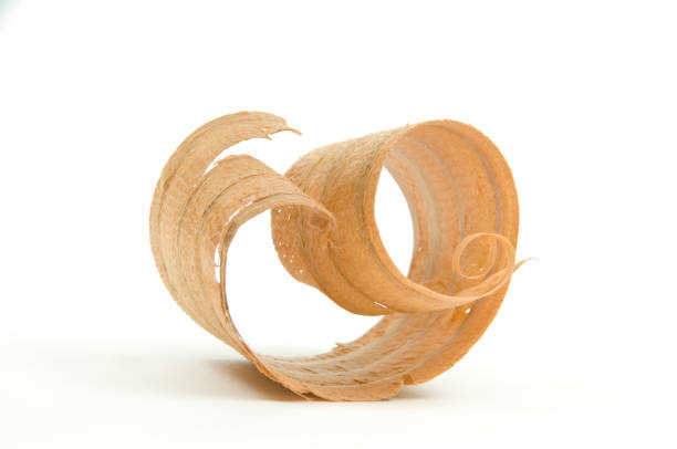 Close-up of Single Wood Shaving/Curl #1-Isolated On White cedar wood shaving on 255 white background. see portfolio for other wood curl options.http://www.garyalvis.com/images/buildingProjects.jpg wood chip stock pictures, royalty-free photos & images