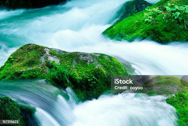 Mountain Stream Primer Plano Foto de stock y más banco de imágenes de Agua - Agua, Agua descendente, Agua purificada