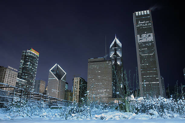 snowy garden against skyline  millennium park chicago stock pictures, royalty-free photos & images