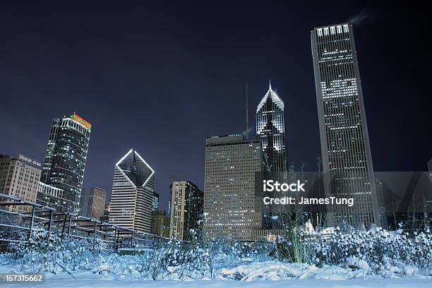 Snowy Garden Against Skyline Stock Photo - Download Image Now - Chicago - Illinois, Winter, Urban Skyline