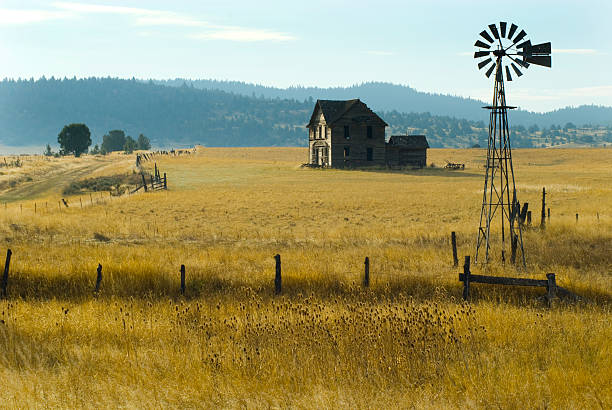 steinbeck ホームステッド、風車、フェンス - windmill cultivated land crop day ストックフォトと画像