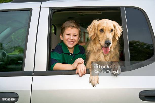 Boy 彼の犬 - ゴールデンレトリバーのストックフォトや画像を多数ご用意 - ゴールデンレトリバー, 自動車, 犬