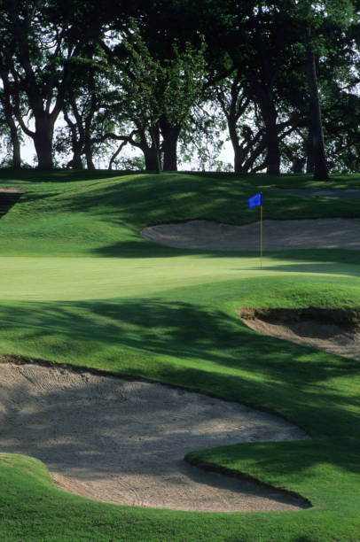 istock Golf green with sand trap and trees 157316011