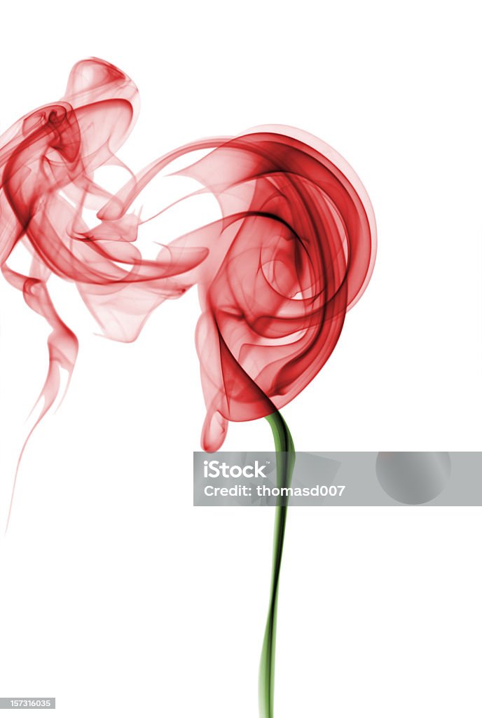 Einzelne rote Rose von Rauch - Lizenzfrei Rose Stock-Foto