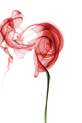 A red rose with a green stem that is formed from smoke. Isolated on white.