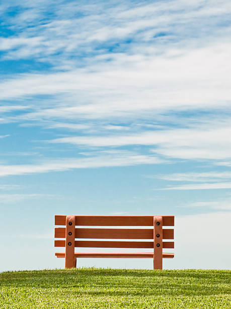 A park bench on a green grassy hill looks out on a bright, blue sky with white clouds. The sky's the limit, a wonderful world is waiting for you, stop and think about the future.