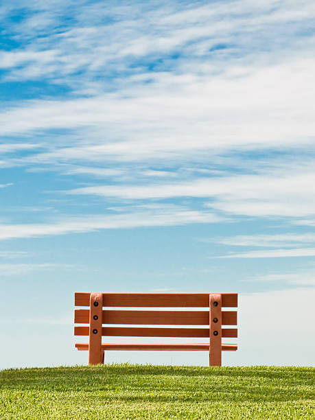 Peaceful Scene with Bench, Green Grass, Blue Sky stock photo