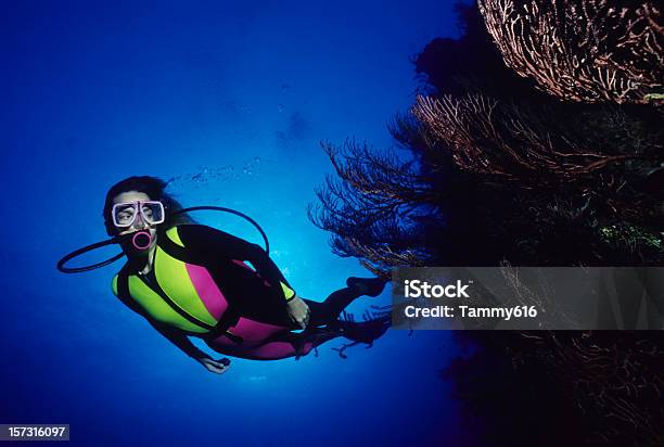 Buzo Y Coral Foto de stock y más banco de imágenes de Bahamas - Bahamas, Submarinismo, Traje de buceo - Ropa de deporte