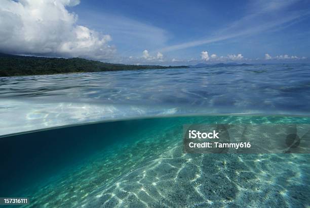Foto de Mais Com Vista Para A Ilha e mais fotos de stock de Debaixo d'água - Debaixo d'água, Mar, Plano de Fundo