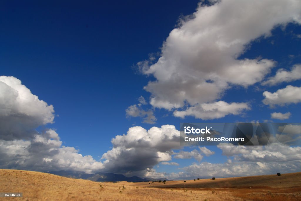 Nubes de Nuevo México - Foto de stock de Desierto libre de derechos