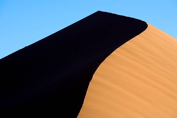 istock Sand Dune Detail Dune45 157316198