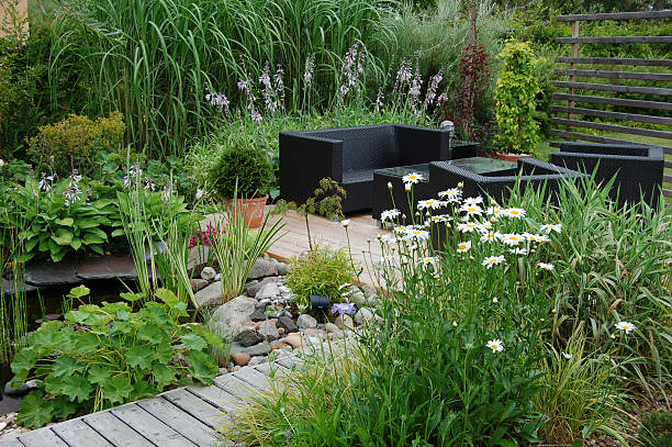garden lounge - daisy marguerite flower grass stock-fotos und bilder
