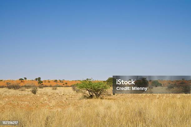 Калахари Намибия Prairie — стоковые фотографии и другие картинки Namibian Desert - Namibian Desert, Африка, Горизонтальный