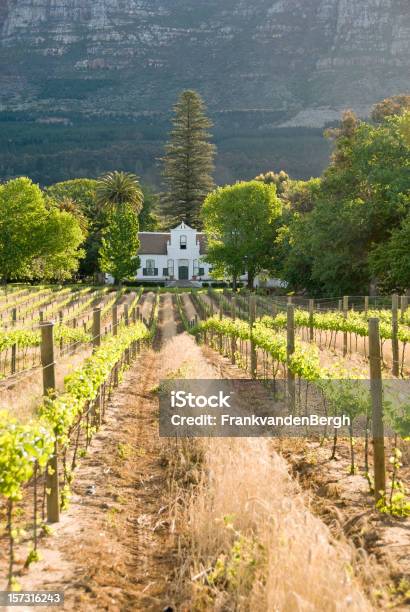 Winelands - zdjęcia stockowe i więcej obrazów Franschhoek - Franschhoek, Republika Południowej Afryki, Winiarnia