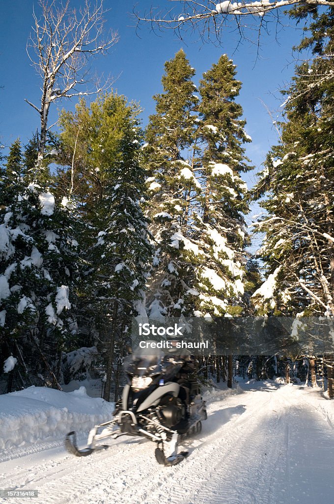 Nieve y trineos - Foto de stock de Aire libre libre de derechos