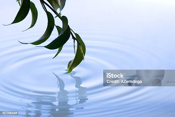 Spring Blue Stock Photo - Download Image Now - Copy Space, Nature, Rippled