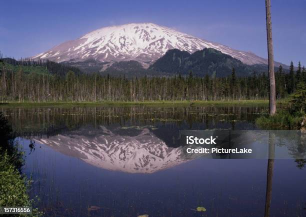 Photo libre de droit de Mont St Helens Se Reflétant Dans Un Lac Goat Marsh banque d'images et plus d'images libres de droit de Chaîne des Cascades - Chaîne des Cascades, Destination de voyage, Eau