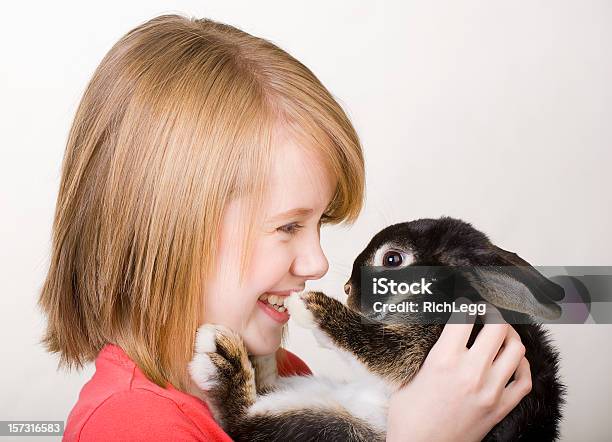 Bunny Serii - zdjęcia stockowe i więcej obrazów Królik - zwierzę - Królik - zwierzę, Młody królik, Trzymać