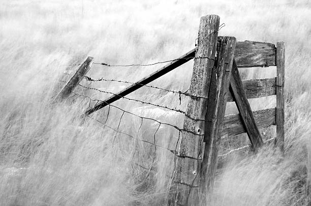 잊어버린 울타리 3 - barbed wire rural scene wooden post fence 뉴스 사진 이미지