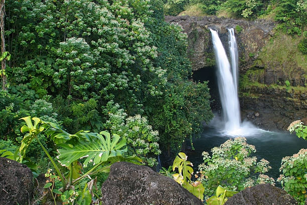 rainbow falls, hawai - hilo isla grande de hawái fotografías e imágenes de stock