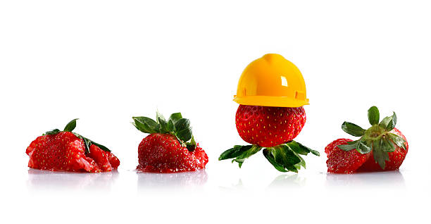 protected strawberries stock photo