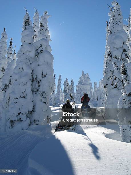 Photo libre de droit de Pratique De La Motoneige À Travers Des Arbres banque d'images et plus d'images libres de droit de Faire de la motoneige - Faire de la motoneige, Neige, Aventure