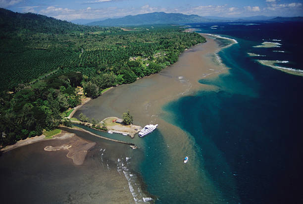 Rivers Run to the Sea Aerial view of Papau New Guinea coast and Palm Oil Plantations. new britain island stock pictures, royalty-free photos & images