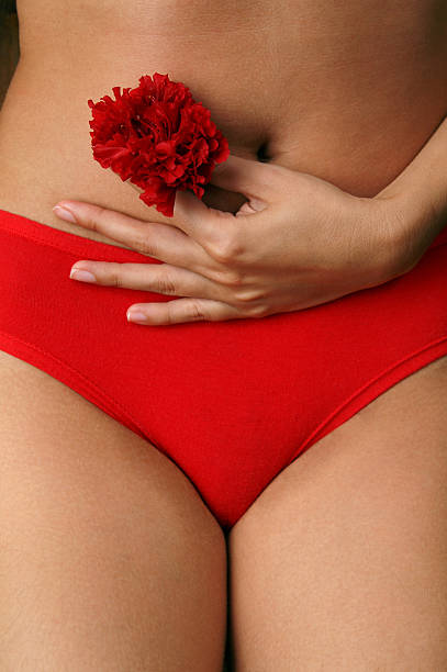 Female wearing red underwear holding red flower by belly stock photo