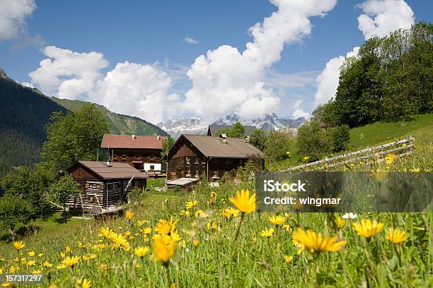 Il Villaggio Bschlabs - Fotografie stock e altre immagini di Abbandonato - Abbandonato, Albero, Alpi