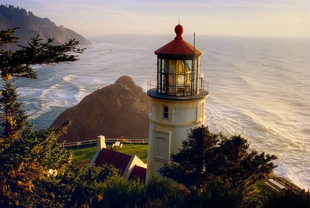 istock Overhead view of Heceta Head Lighthouse 157317436