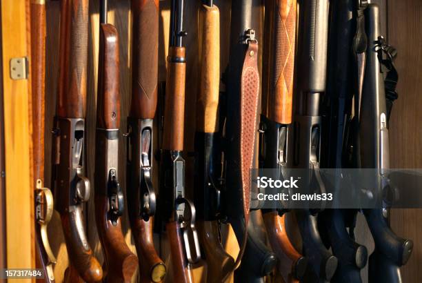 Gun Fall Stockfoto und mehr Bilder von Schusswaffe - Schusswaffe, Gewehr, Jagd