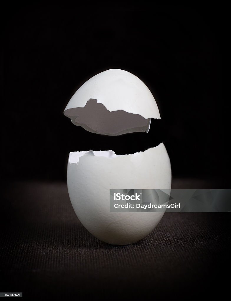 Egg Shell An egg shell in two parts, isolated for designer use. Animal Egg Stock Photo