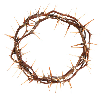Crown of Thorns XL