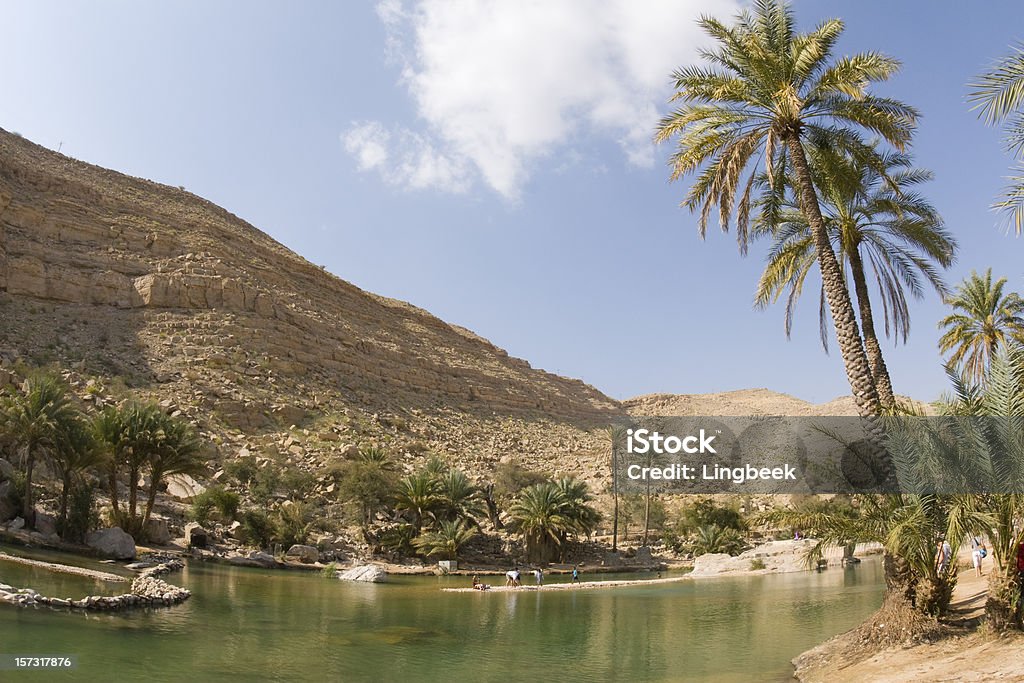 Omã Wadi Bani Khalid - Royalty-free Wadi Bani Khalid Foto de stock