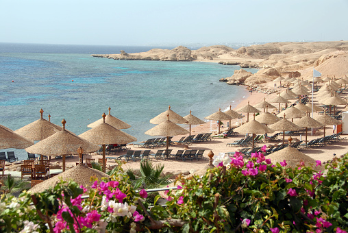 Beach with parasols and blooming bougainvillea near Sharm el-Sheikh,Red Sea,Egypt.