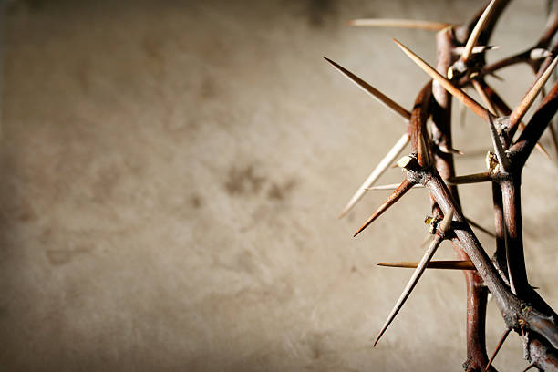 istock Crown of Thorns on Grunge Tan Background 157318051