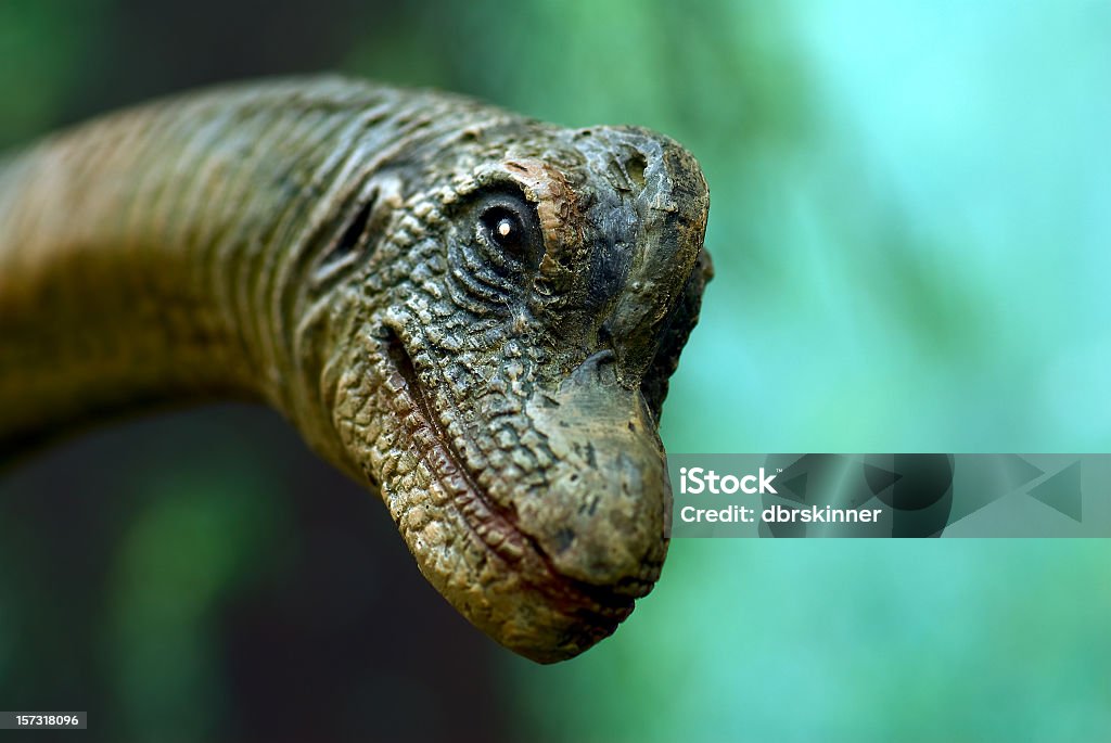 Dinosaur cara - Foto de stock de Dinosaurio libre de derechos
