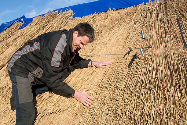 Working  straw roof stock pictures, royalty-free photos & images