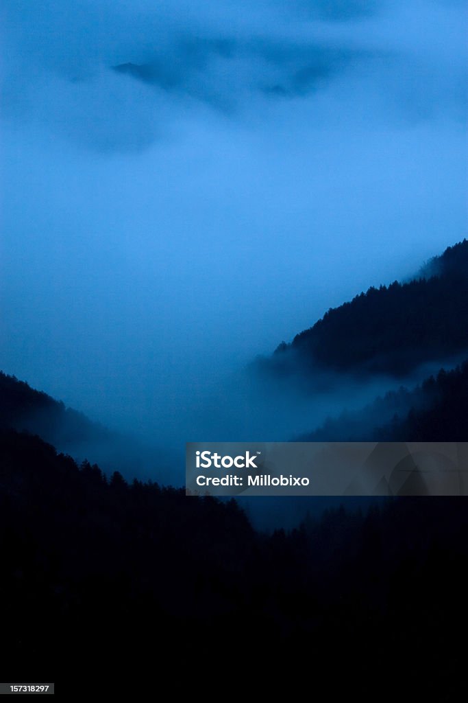 Notte di nebbia - Foto stock royalty-free di Foresta