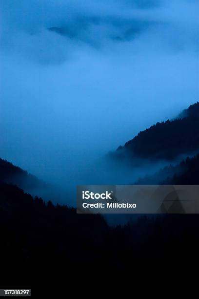 Night Fog Stock Photo - Download Image Now - Forest, Night, Surreal