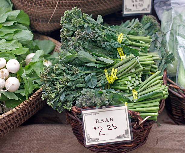 brécol raab - broccoli raab fotografías e imágenes de stock