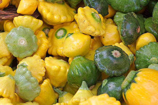 zucchino estivo - crookneck squash foto e immagini stock