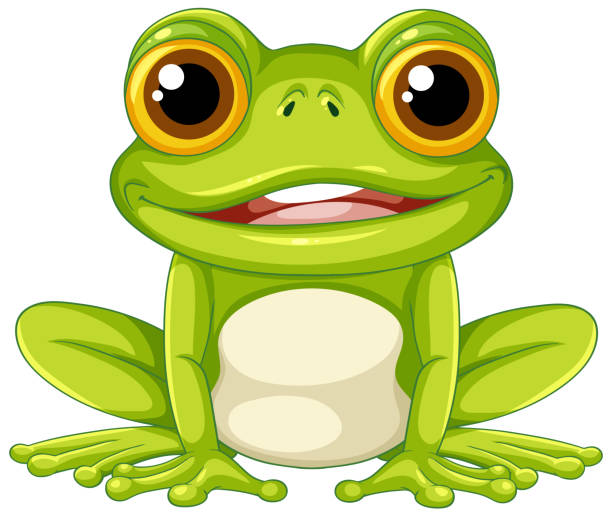 Dessin animé Green Frog - Illustration vectorielle