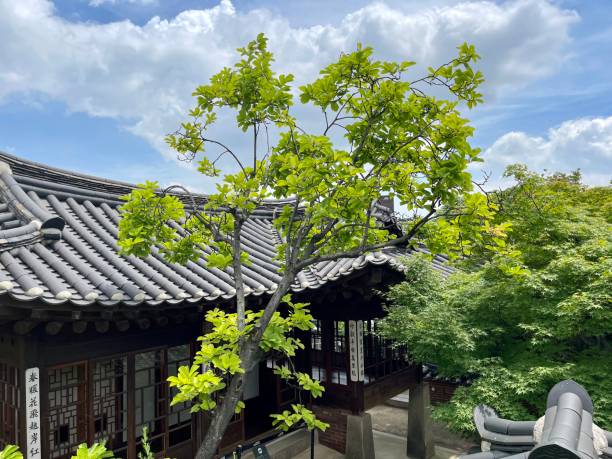 istock Traditional Korean House Hanok in Summer 1573247491