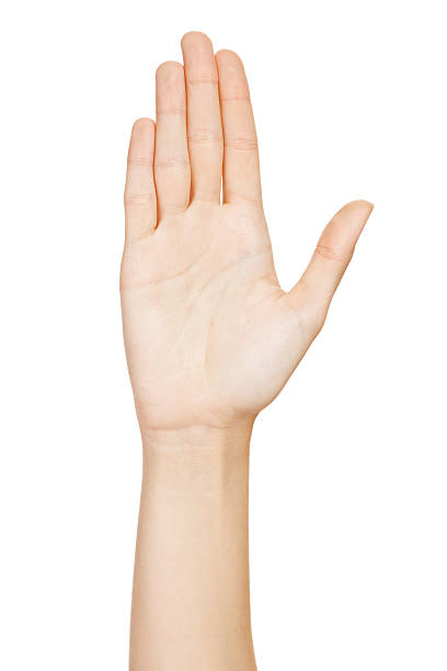 Hand showing the five fingers