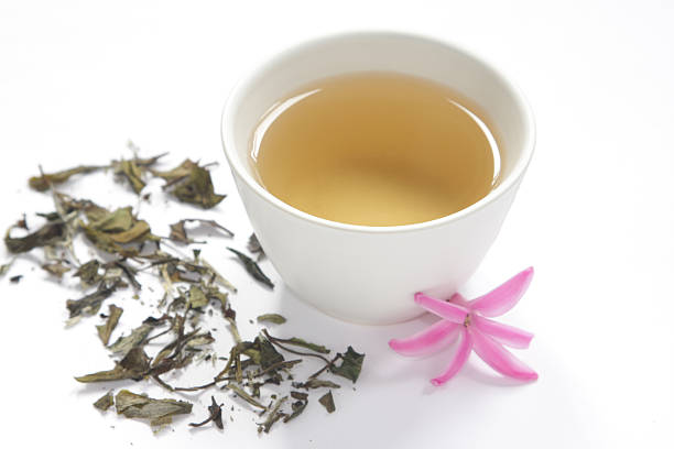 Healthy white tea stock photo