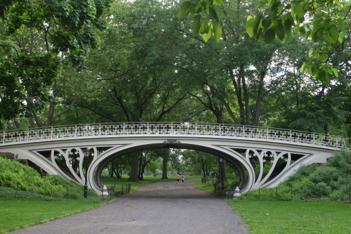 The bow bridge , New York City Central Park, early morning on cloudy day